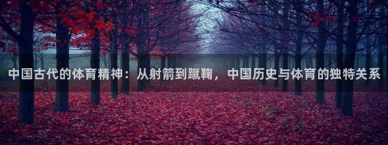 yy易游官网下载平台注册流程图:中国古代的体育精神:从射箭到