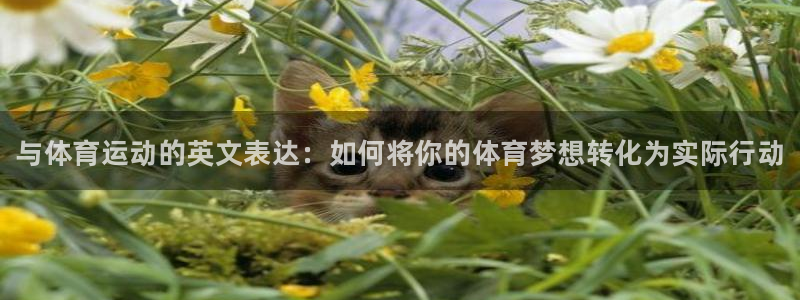 yy易游官方正版app集团E.ON:与体育运动的英文表达:如