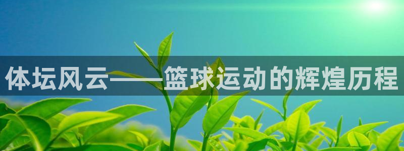 yy易游官网下载招商电话号码:体坛风云——篮球运动的辉煌历程