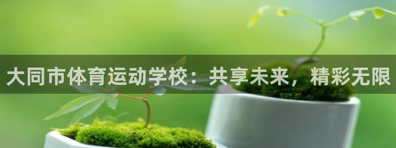 yy易游官网下载招商电话号码查询:大同市体育运动学校:共享未